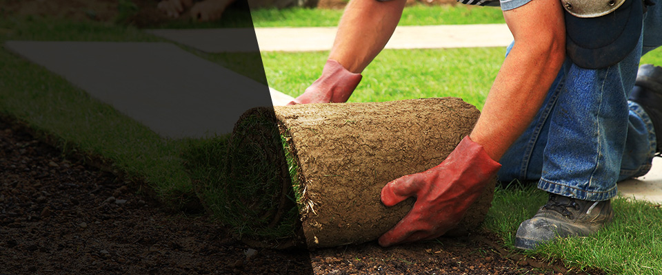 Ridgecrest Landscapers